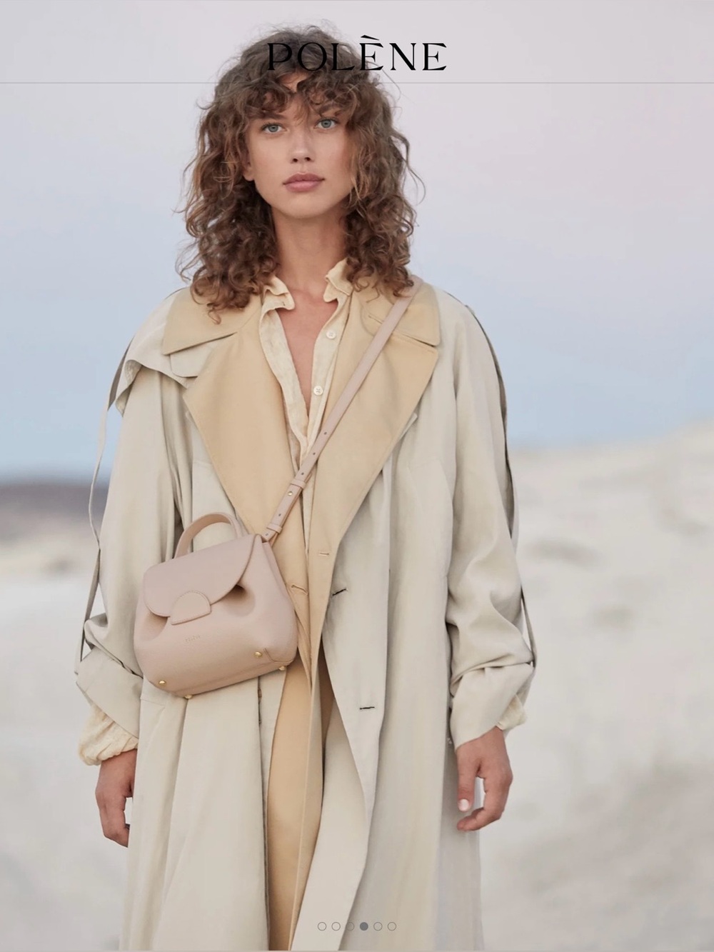 Polène Small Top-Handle Bag in Light Beige - Picture 5 of 14